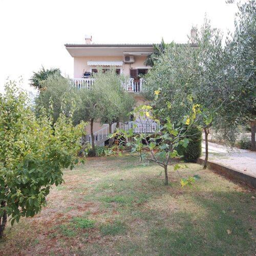 Apartament Dorcic